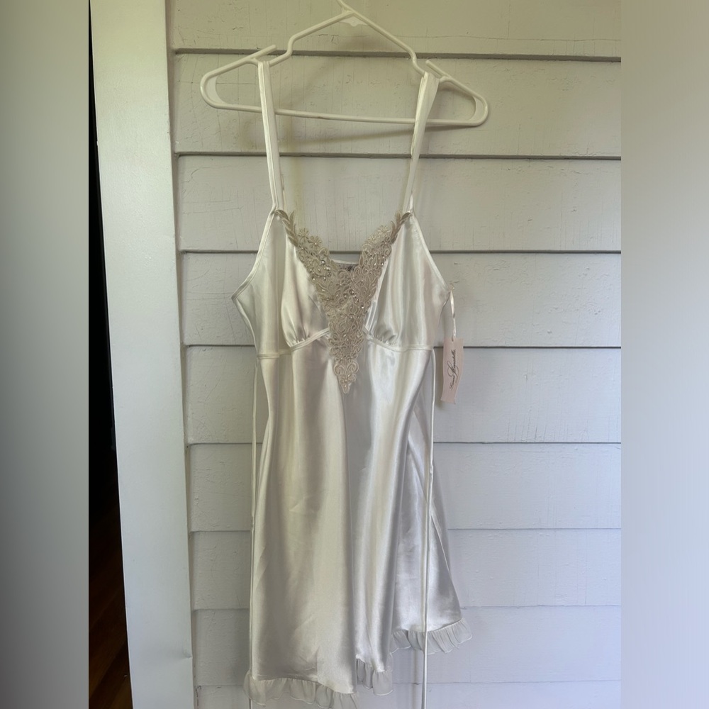 Linea Donatella Chiffon Lace Nighty NWT